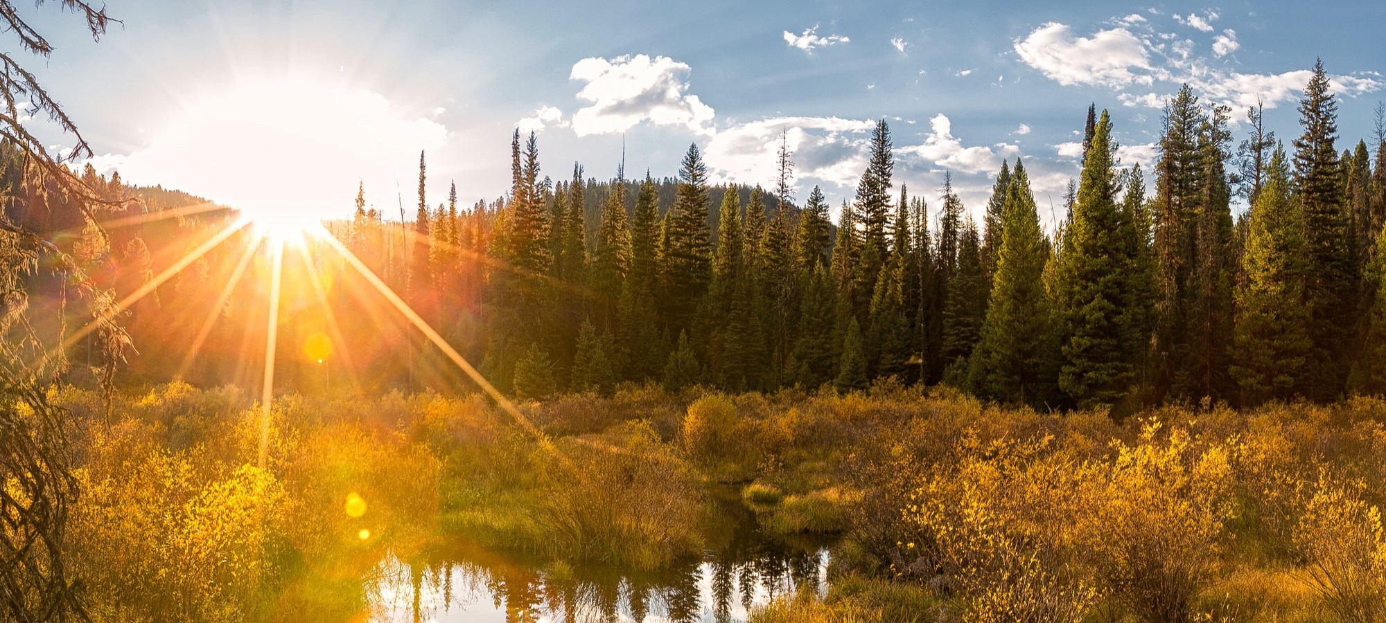 Dentist Helena MT Cosmetic Dentistry